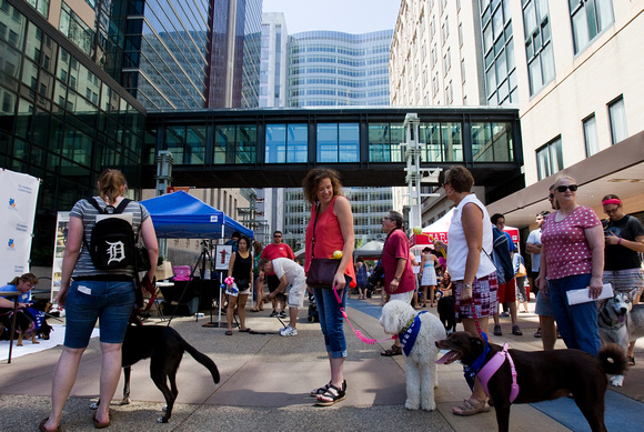 Dogs Downtown 01